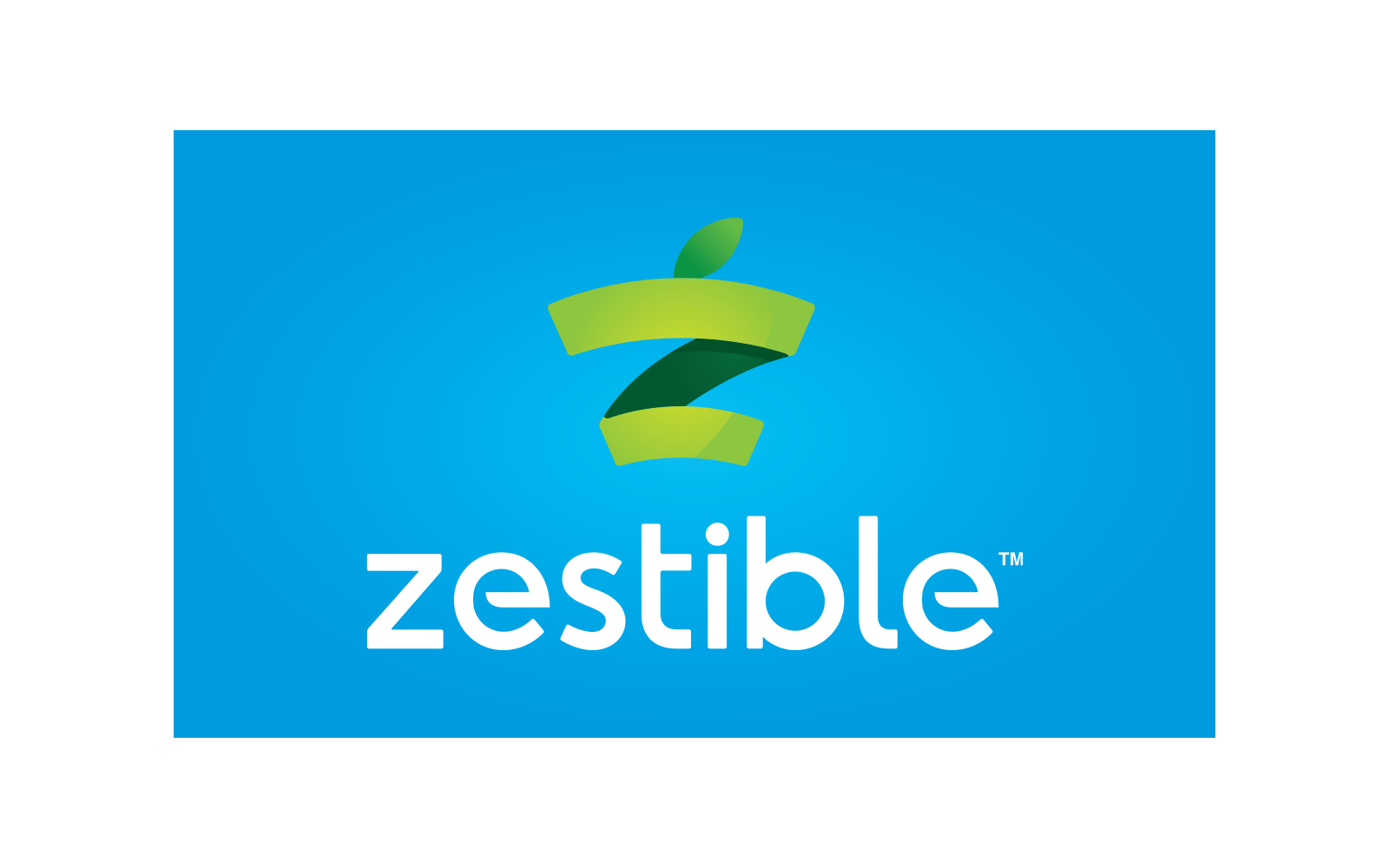 Zestible Logo Design